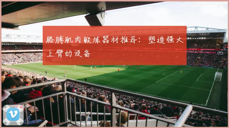 胳膊肌肉锻炼器材推荐：塑造强大上臂的设备