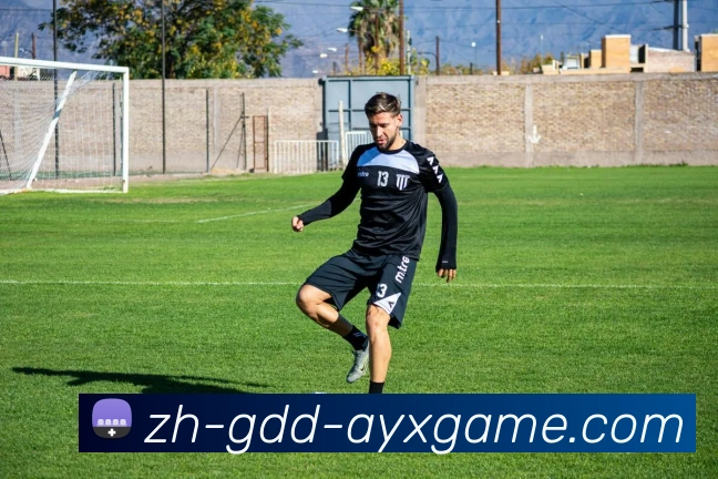 App Interface Preview